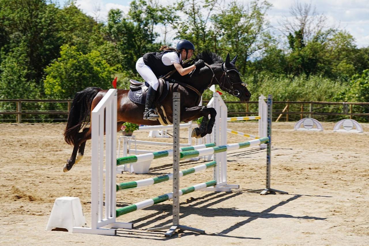 Ruin Andere pony rassen Te koop 2012 Zwart