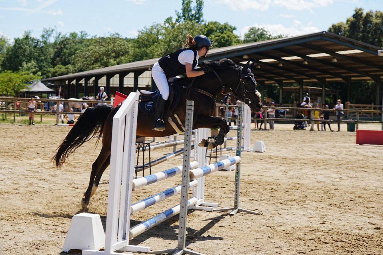 Ruin Andere pony rassen Te koop 2012 Zwart