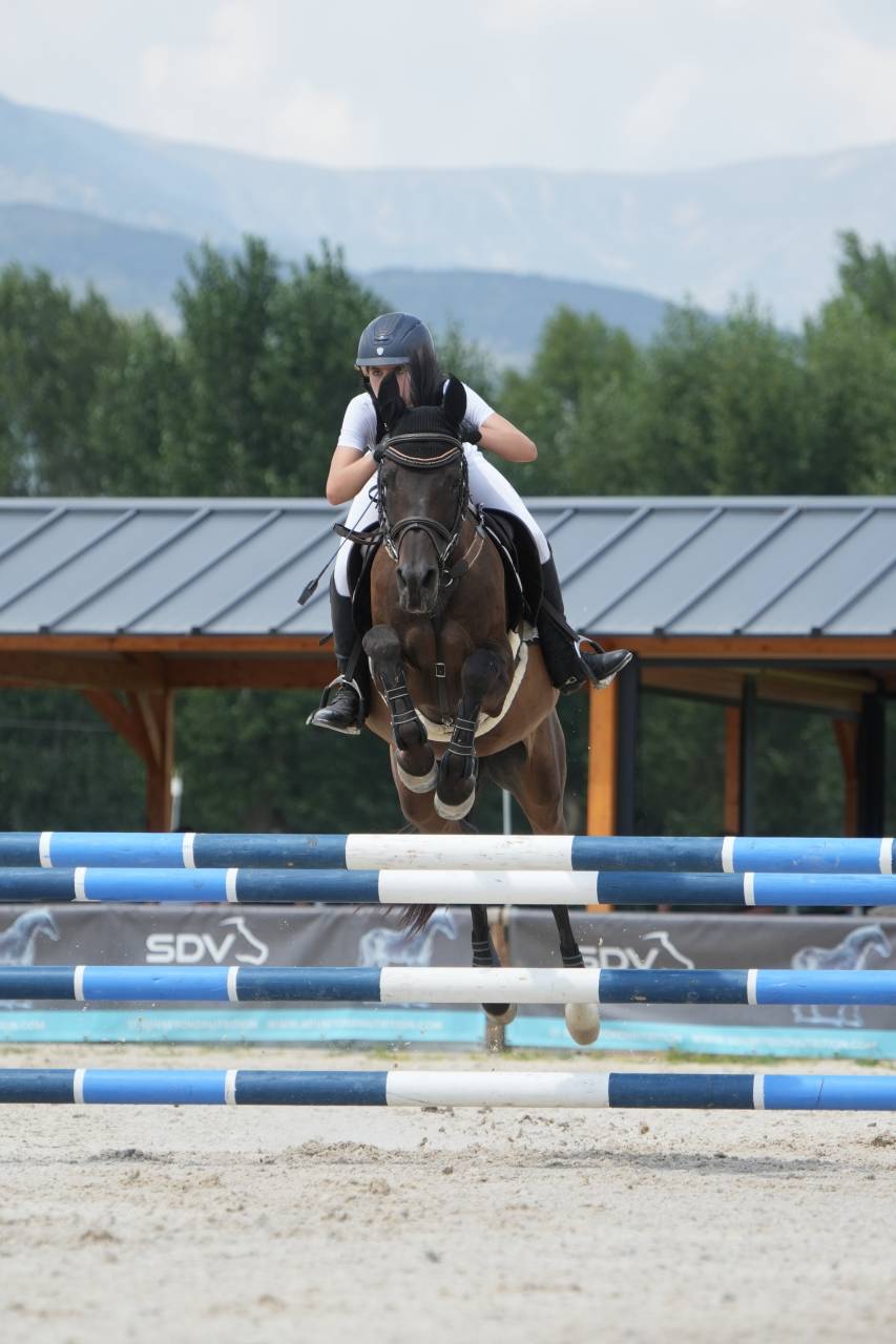 Ruin Andere pony rassen Te koop 2012 Zwart