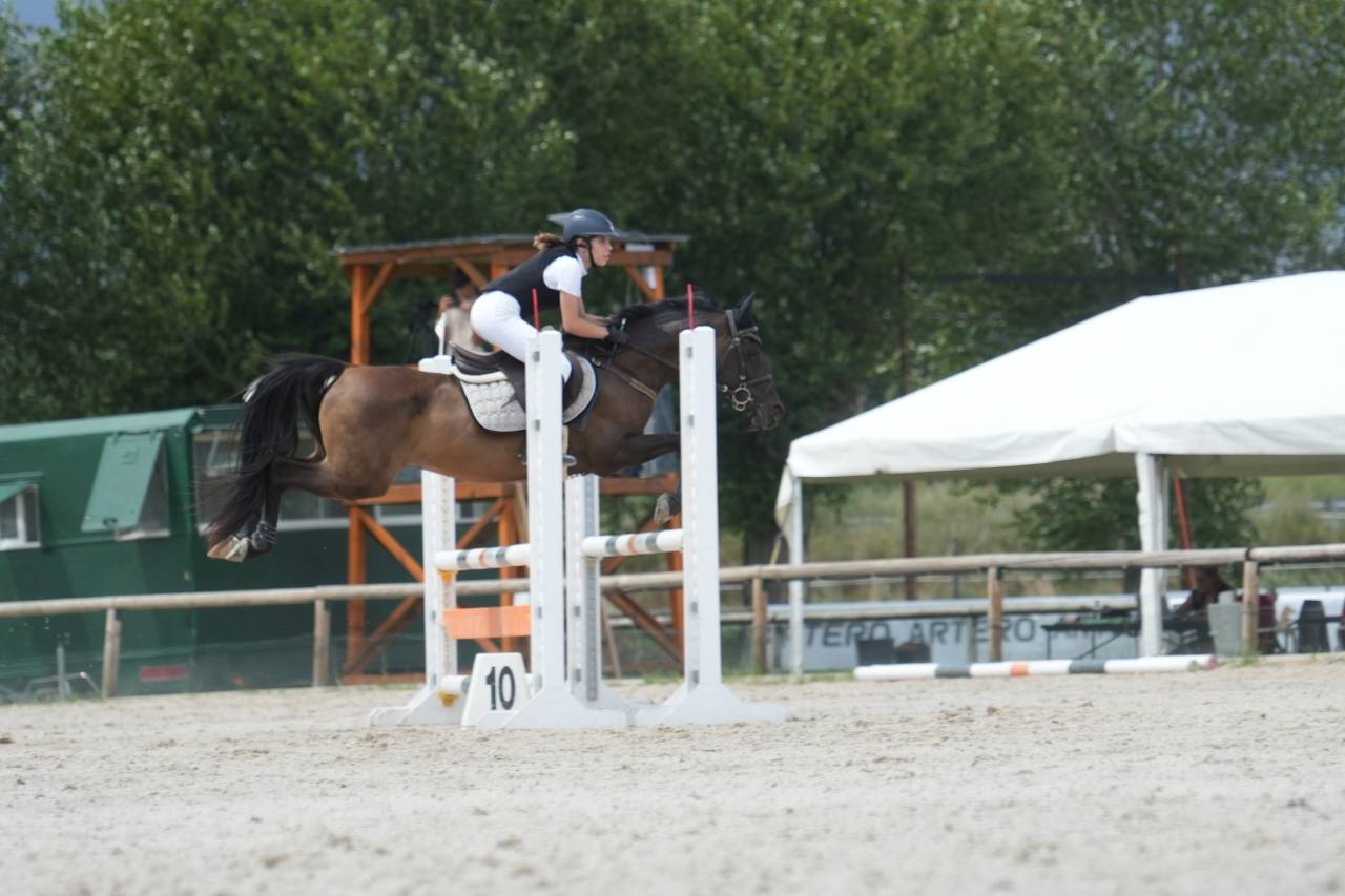 Ruin Andere pony rassen Te koop 2012 Zwart