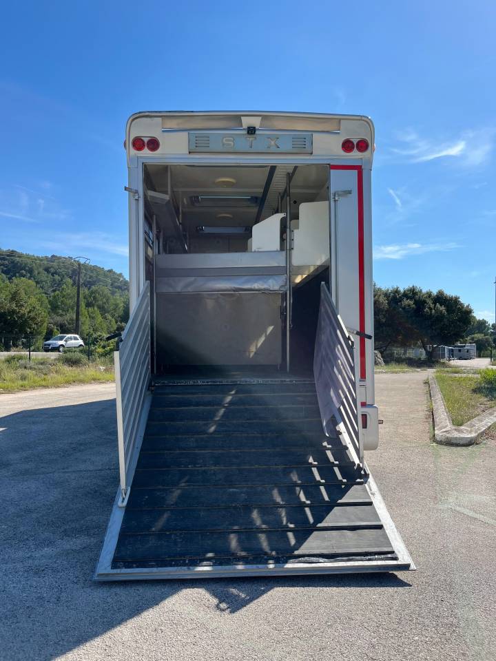 Zware paardenvrachtwagen (groot rijbewijs) Iveco STX 2008 Tweedehands