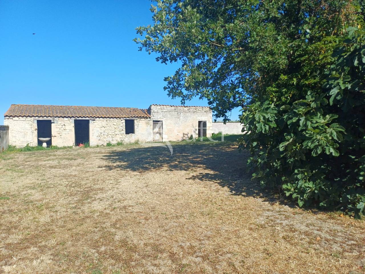Landbouw bedrijf Koop Charente-Maritime