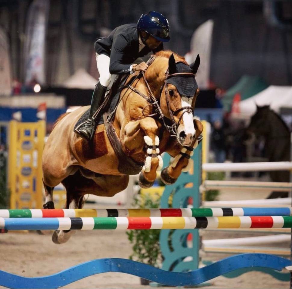 Hengst Selle Fran&ccedil;ais Te koop 2017 Vos ,  Intouchable 27