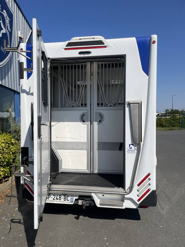 Kleine paardenvrachtwagen (B rijbewijs) Theault master 2023 Tweedehands