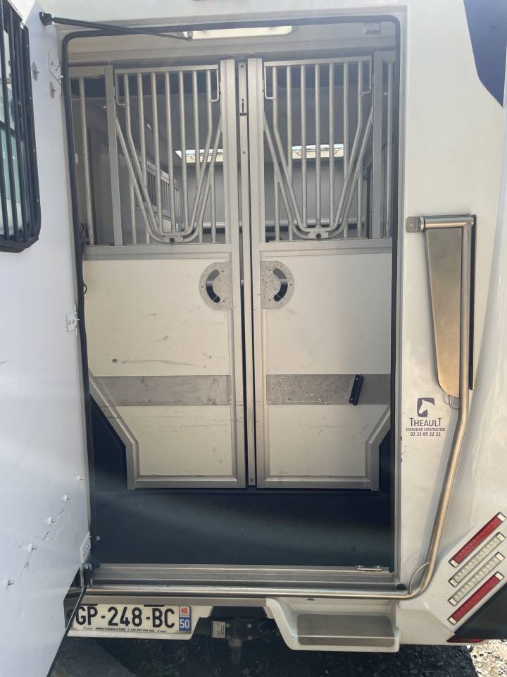 Kleine paardenvrachtwagen (B rijbewijs) Theault master 2023 Tweedehands