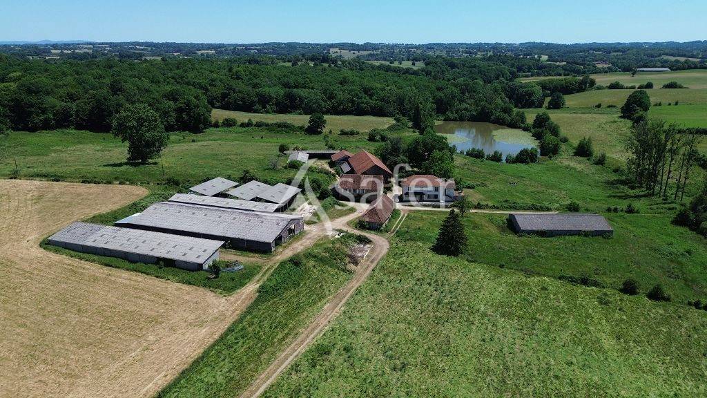 Schapen exploitatie Koop Corr&egrave;ze