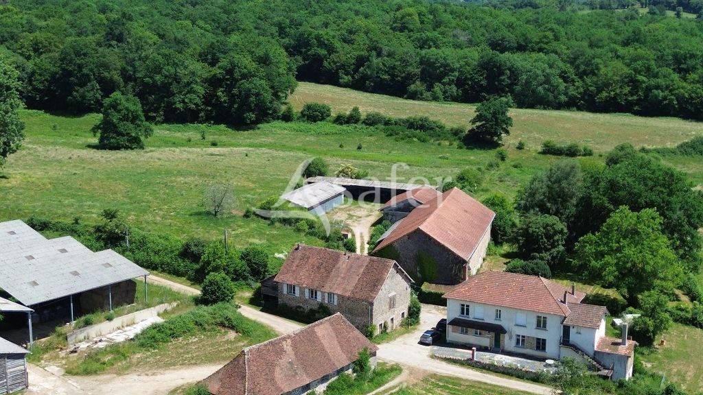 Schapen exploitatie Koop Corr&egrave;ze