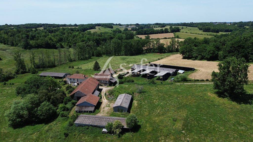 Schapen exploitatie Koop Corr&egrave;ze