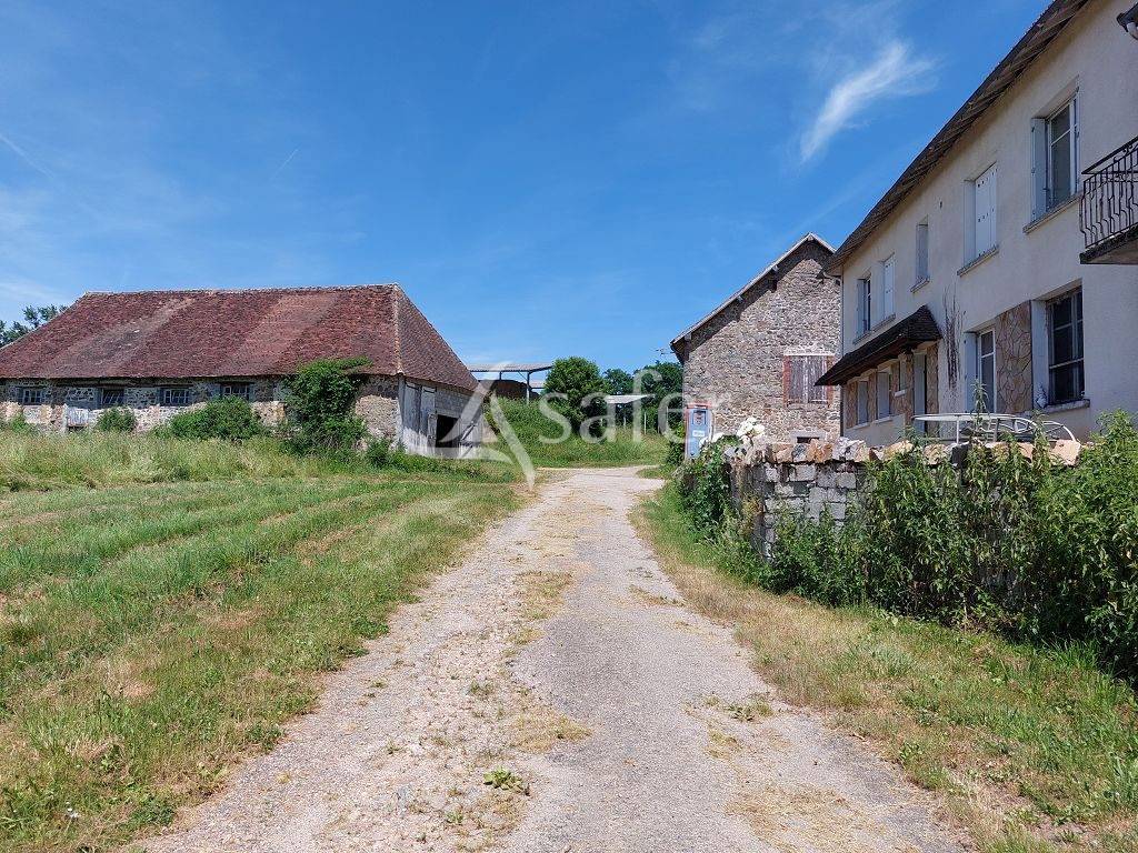 Schapen exploitatie Koop Corr&egrave;ze