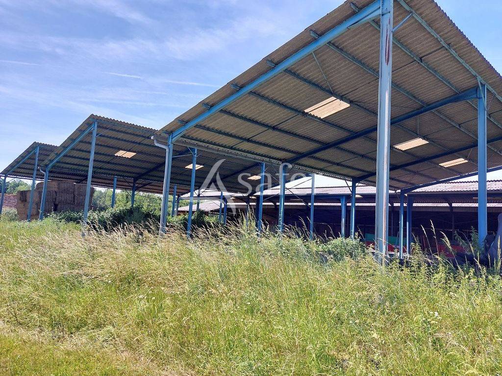 Schapen exploitatie Koop Corr&egrave;ze