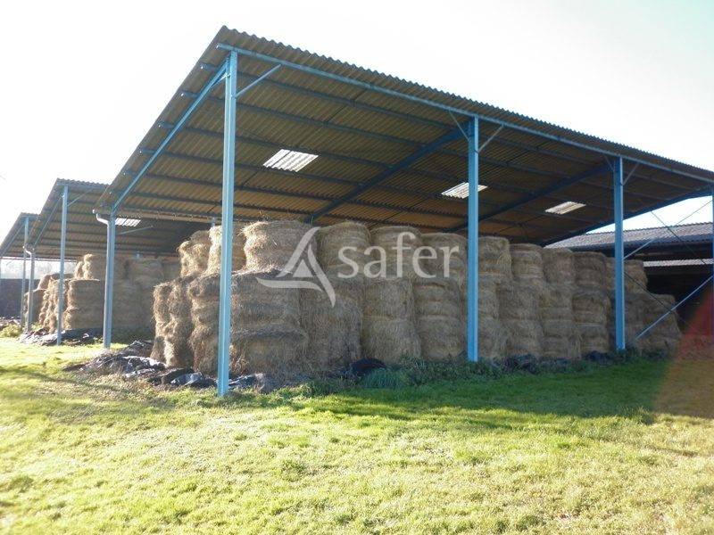 Schapen exploitatie Koop Corr&egrave;ze