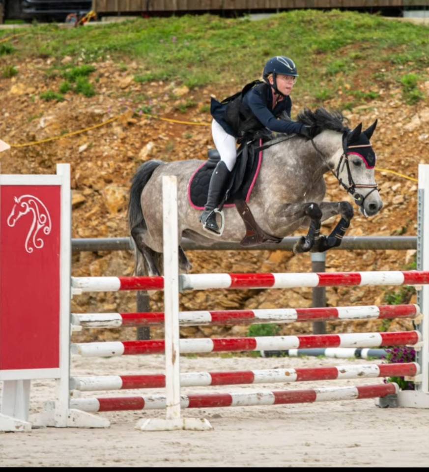 Merrie Franse rijpony PFS Te koop 2019 Donker bruin / bai ,  Carlson
