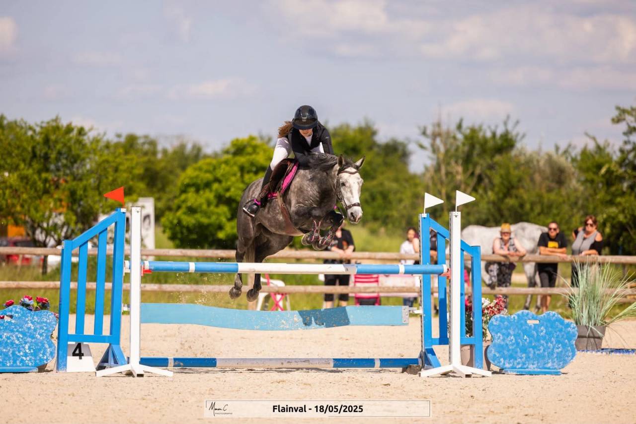 Ruin Connemara Te koop 2019 Schimmel ,  Arda's Murphy