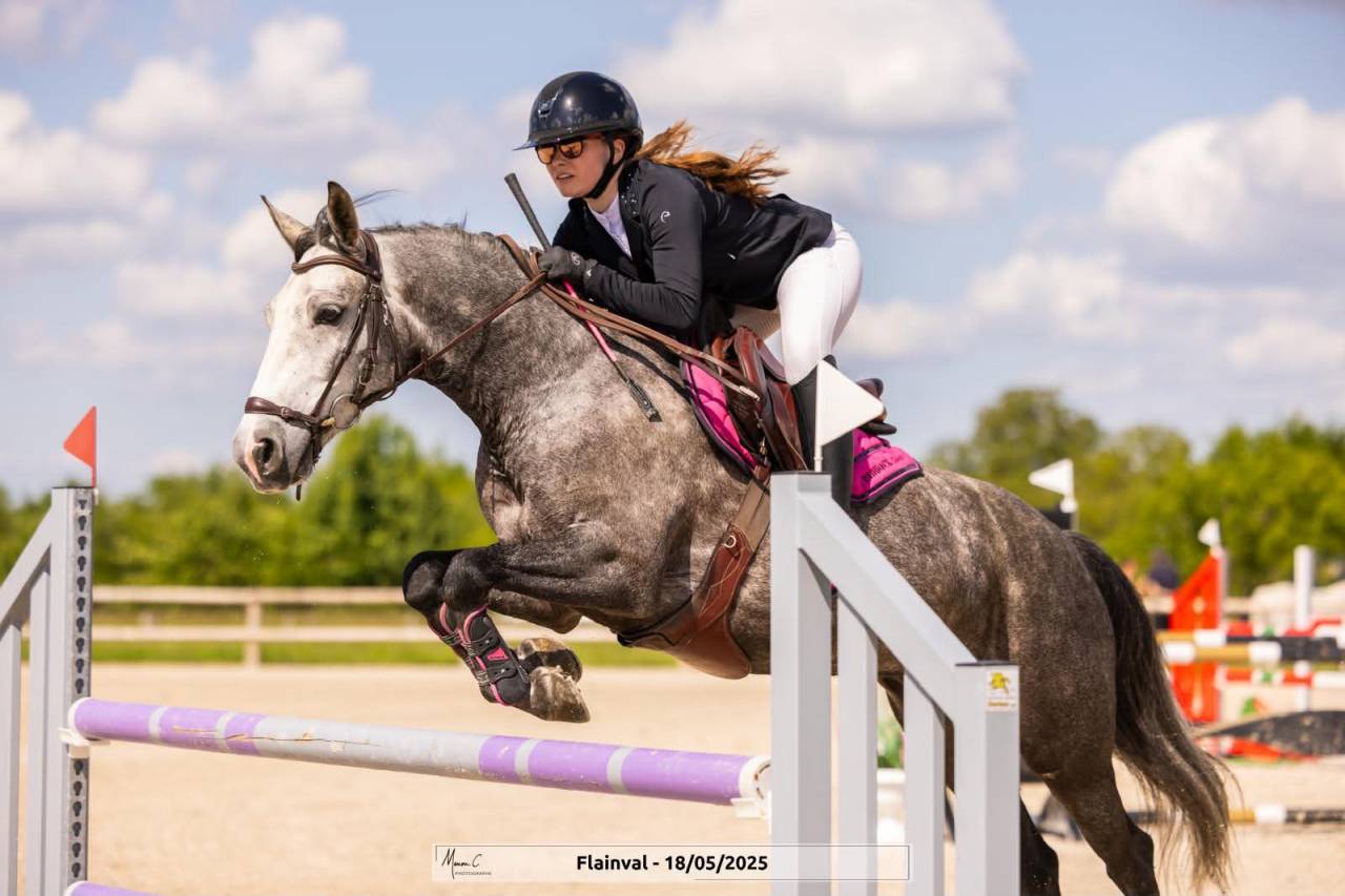 Ruin Connemara Te koop 2019 Schimmel ,  Arda's Murphy