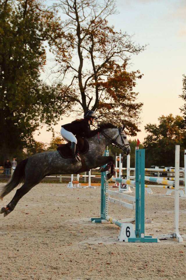 Ruin Connemara Te koop 2019 Schimmel ,  Arda's Murphy
