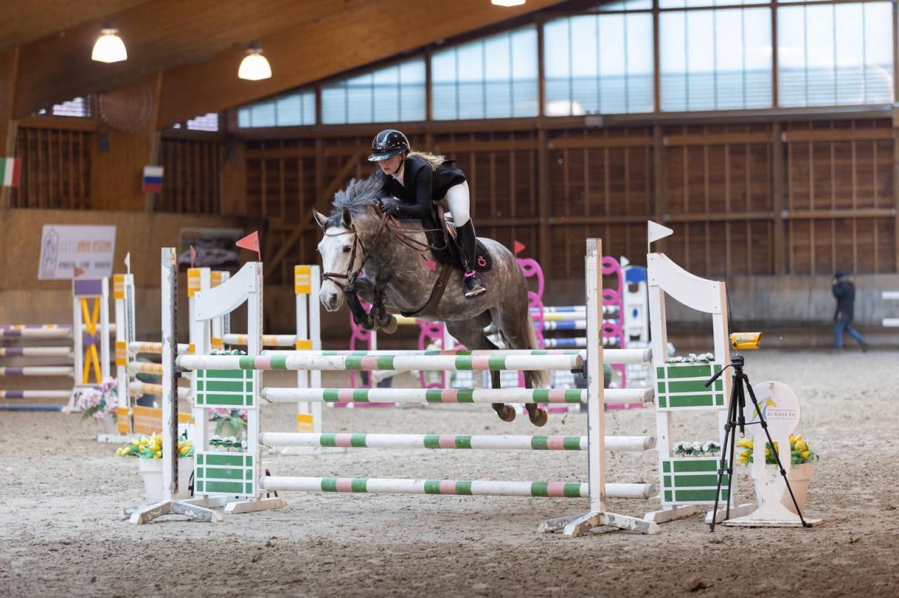 Ruin Connemara Te koop 2019 Schimmel ,  Arda's Murphy