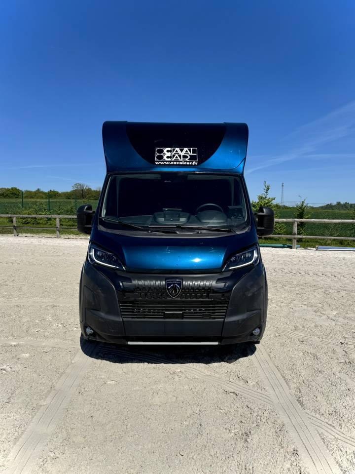 Kleine paardenvrachtwagen (B rijbewijs) Cavalcar Stallium 5 2025 Nieuw