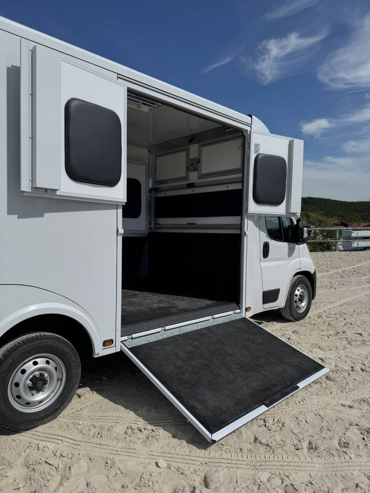 Kleine paardenvrachtwagen (B rijbewijs) Cavalcar Stallium 3 2025 Nieuw
