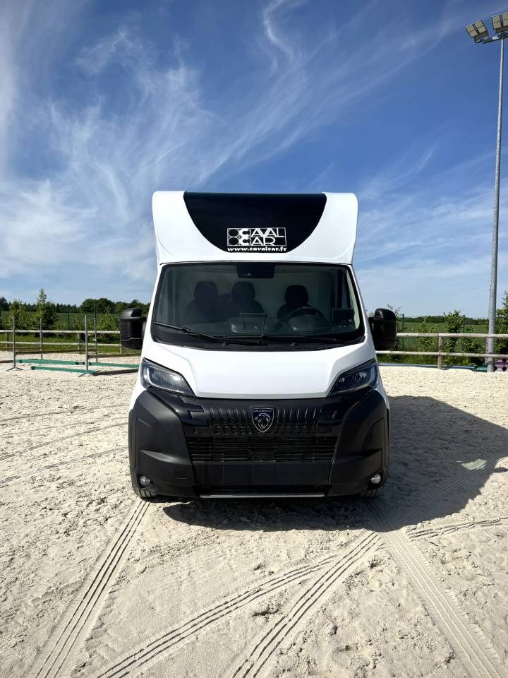 Kleine paardenvrachtwagen (B rijbewijs) Cavalcar Stallium 3 2025 Nieuw