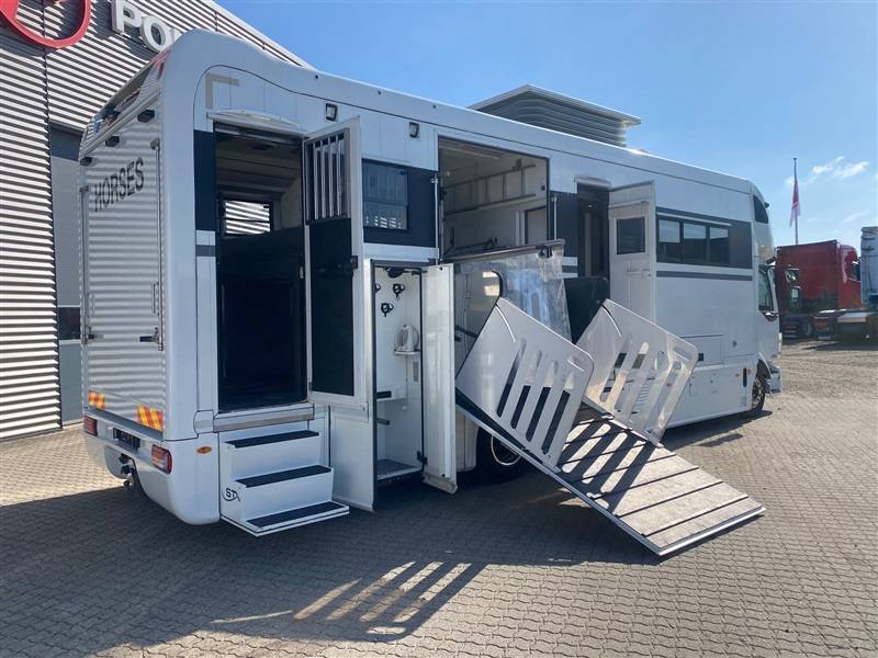 Zware paardenvrachtwagen (groot rijbewijs) Volvo STX 2014 Tweedehands