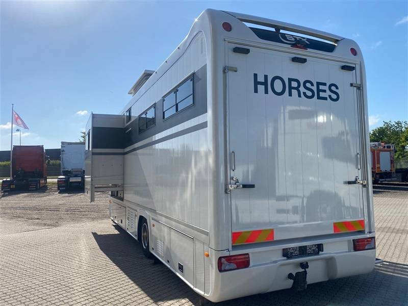 Zware paardenvrachtwagen (groot rijbewijs) Volvo STX 2014 Tweedehands