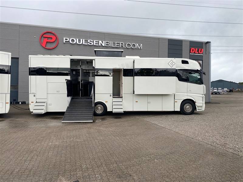 Zware paardenvrachtwagen (groot rijbewijs) Mercedes ketterer 2020 Tweedehands