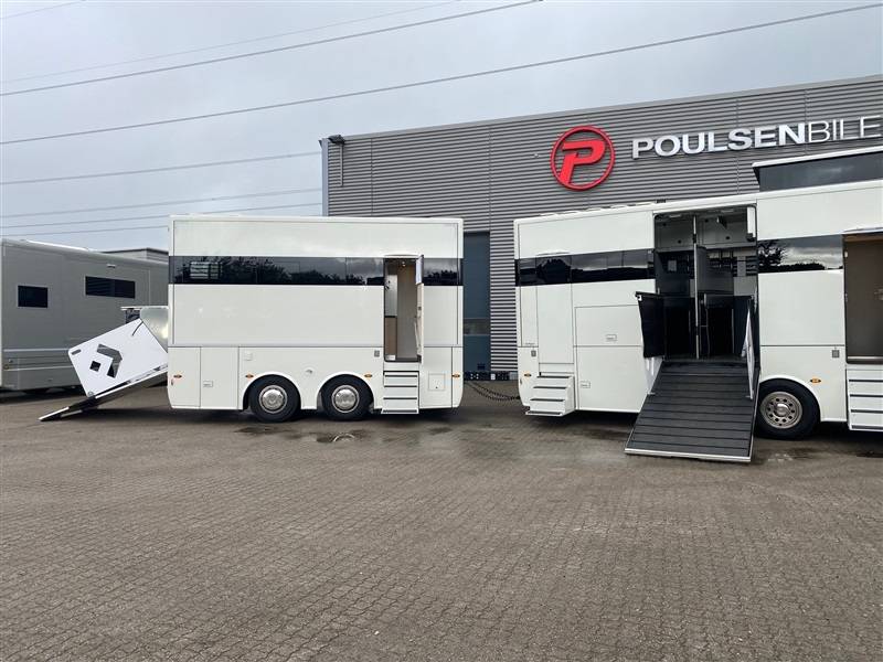 Zware paardenvrachtwagen (groot rijbewijs) Mercedes ketterer 2020 Tweedehands