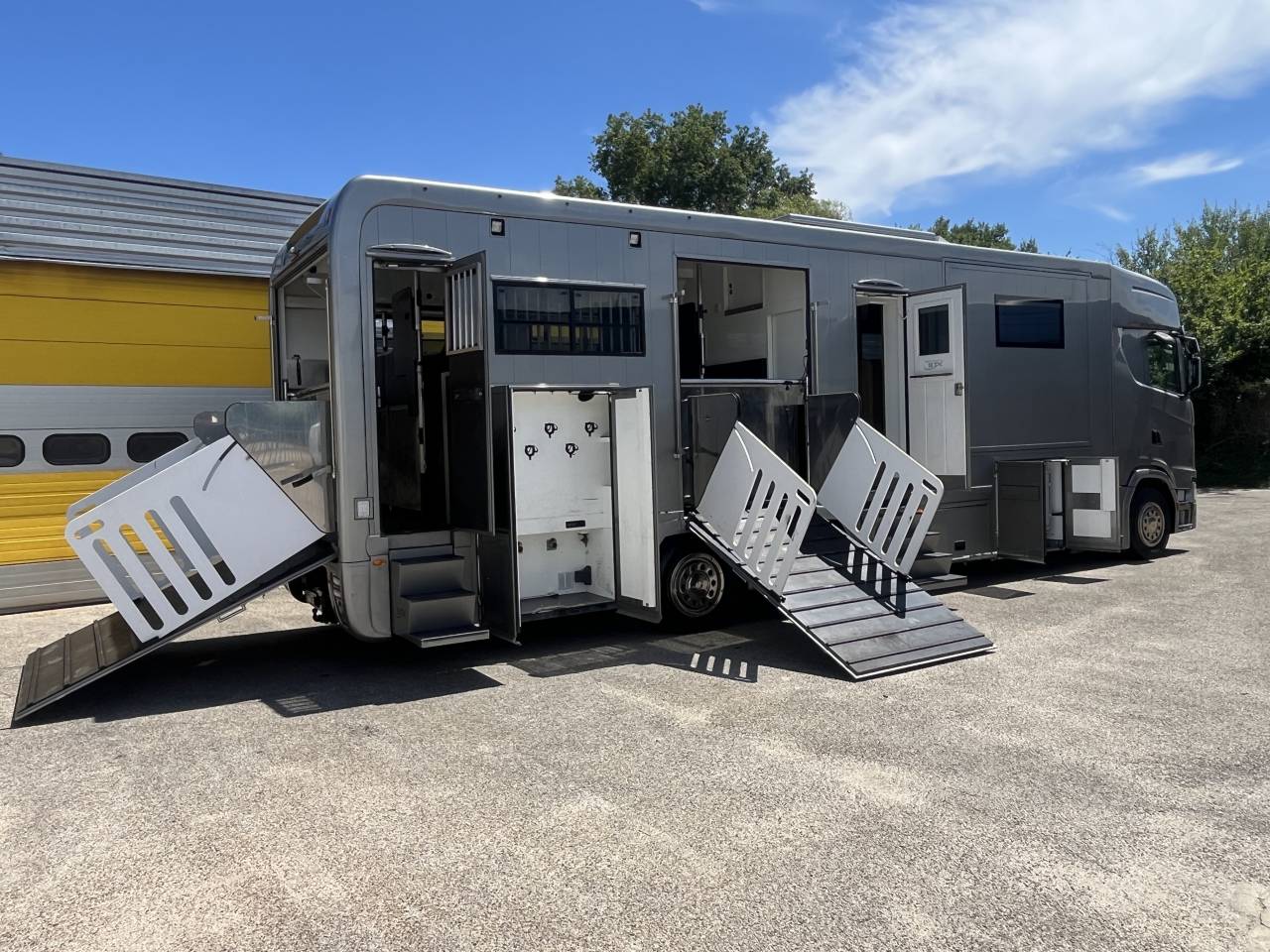 Zware paardenvrachtwagen (groot rijbewijs) STX  2018 Tweedehands