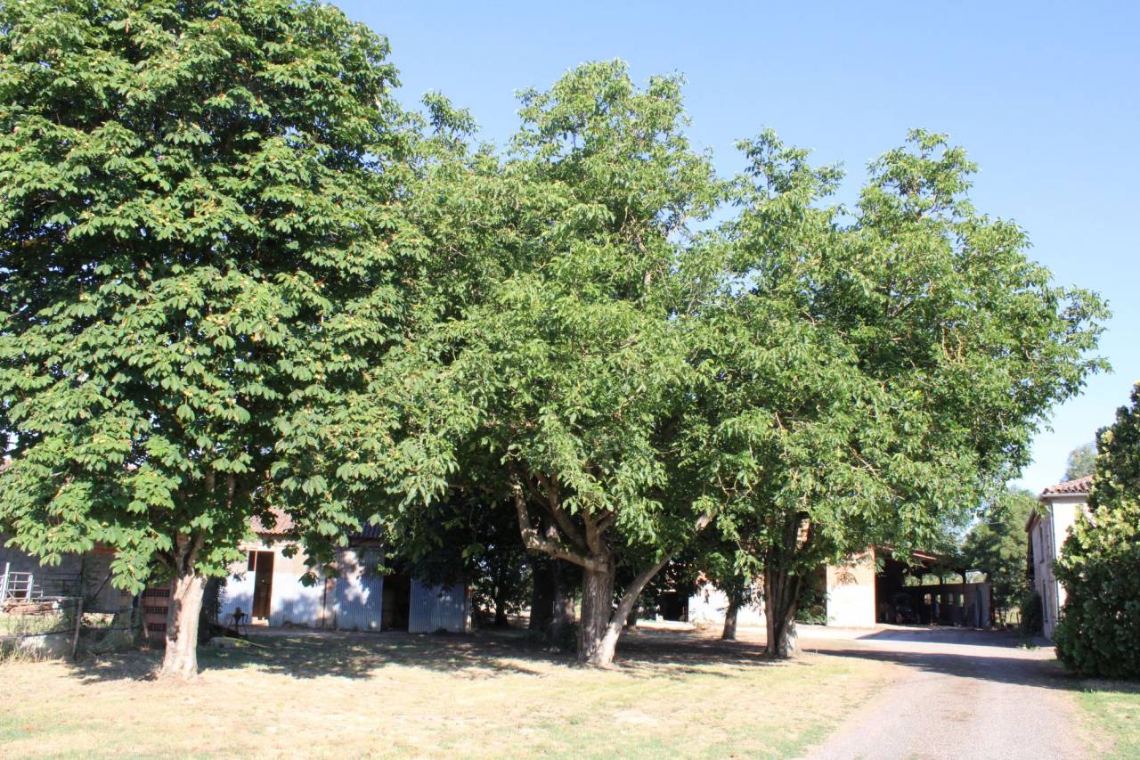 Hippisch vastgoed Koop Tarn-et-Garonne