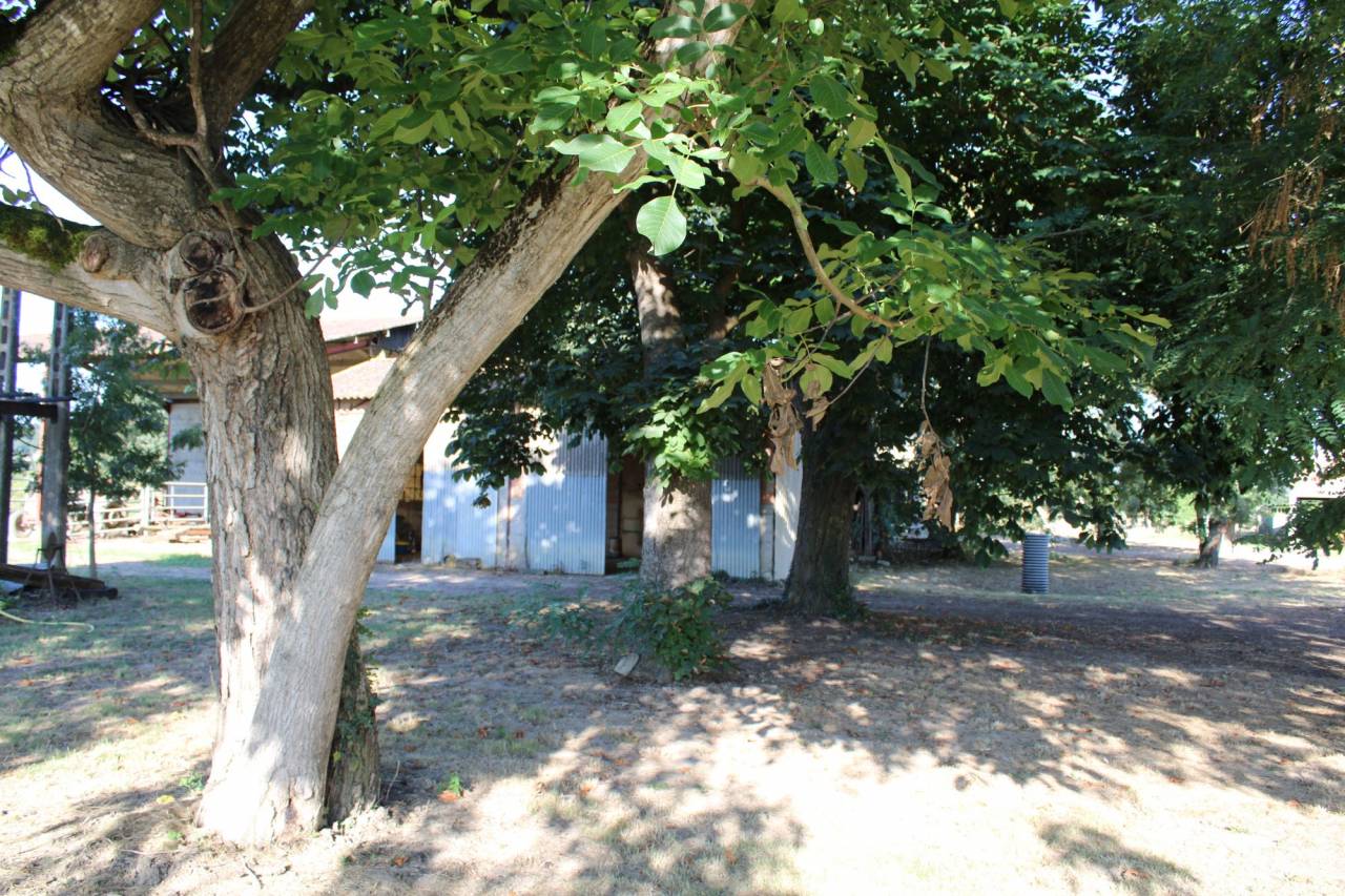 Hippisch vastgoed Koop Tarn-et-Garonne