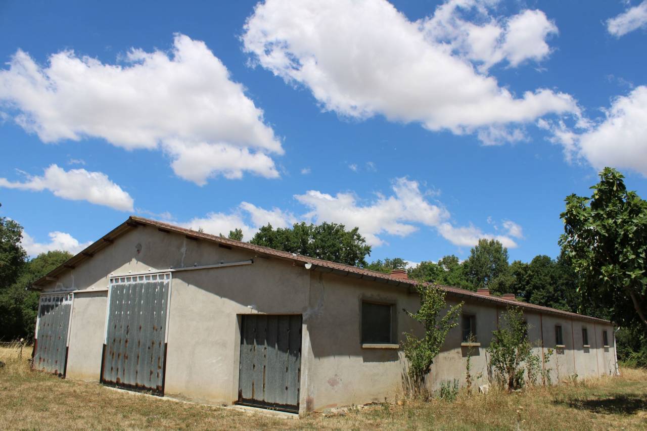 Hippisch vastgoed Koop Haute-Garonne