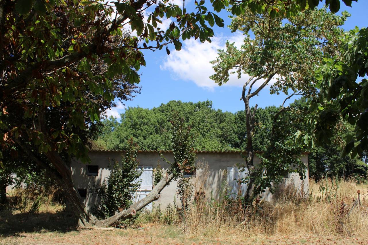 Hippisch vastgoed Koop Haute-Garonne