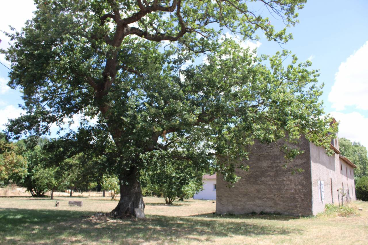 Hippisch vastgoed Koop Haute-Garonne