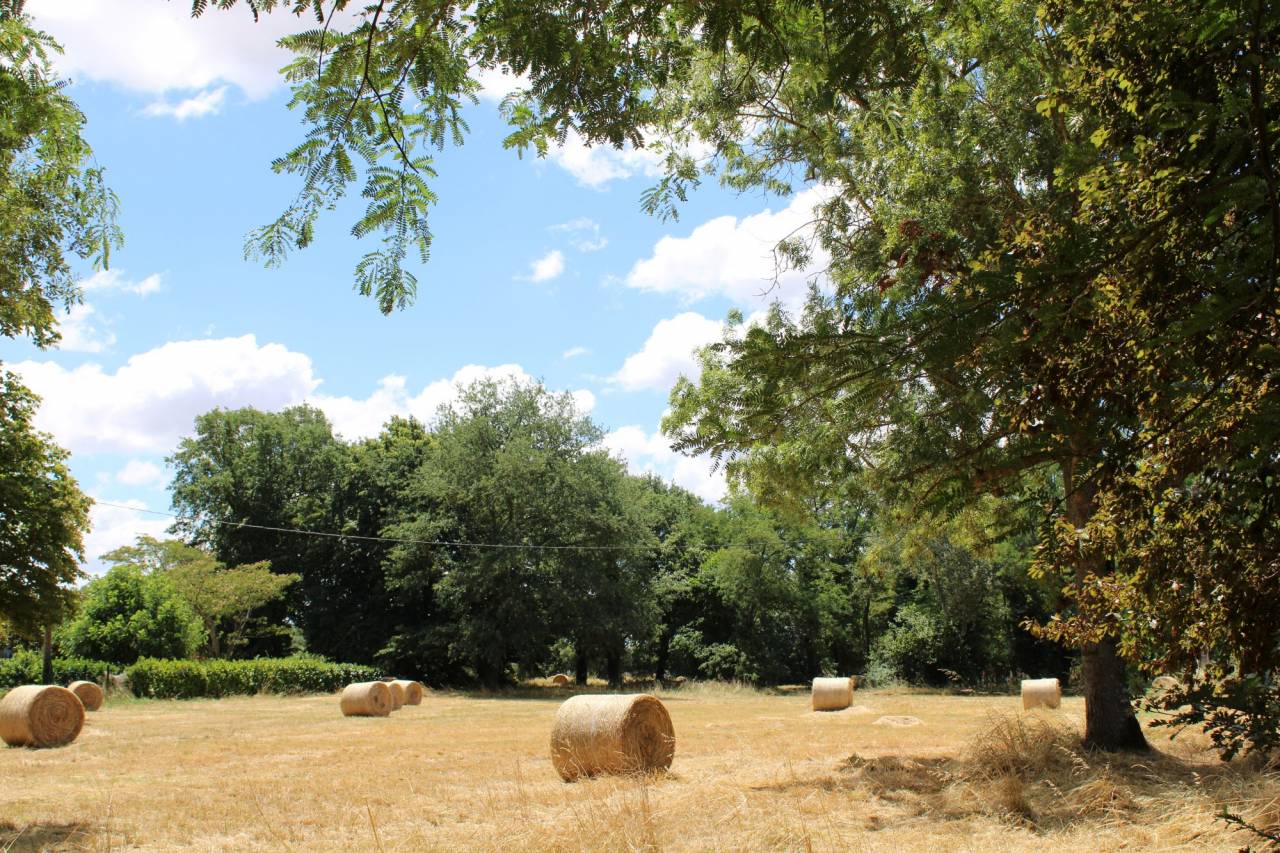 Hippisch vastgoed Koop Haute-Garonne