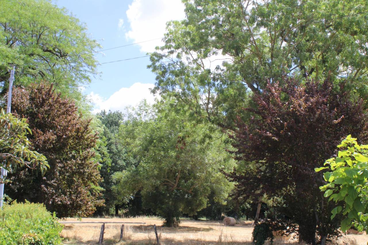 Hippisch vastgoed Koop Haute-Garonne