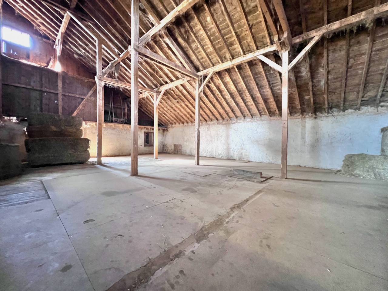 Paarden boerderij Koop Neuch&acirc;tel