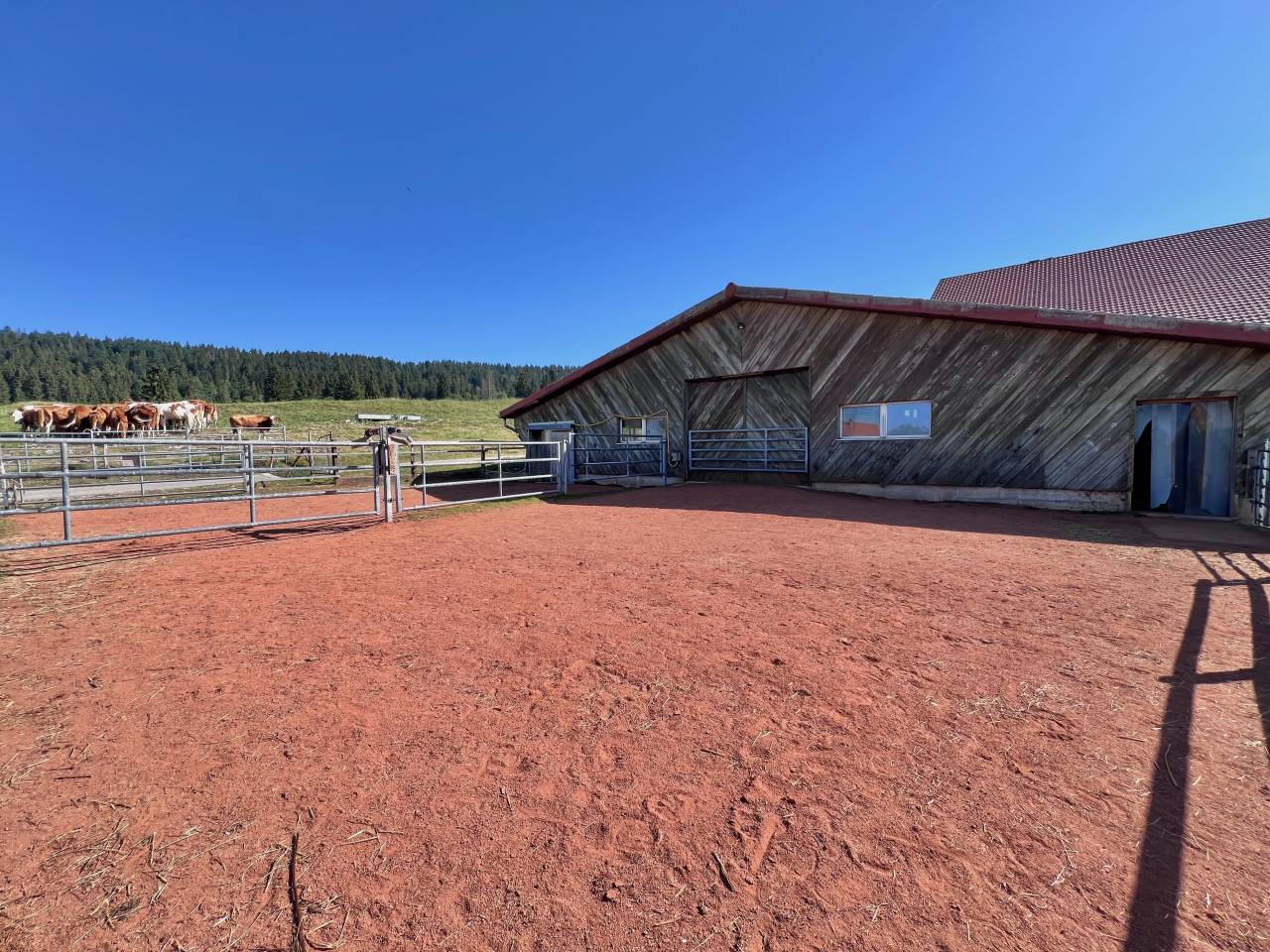 Paarden boerderij Koop Neuch&acirc;tel