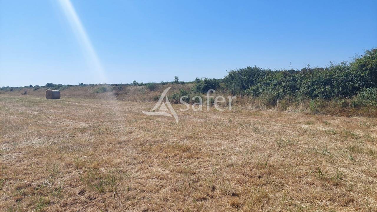 Landbouw bedrijf Koop Charente-Maritime