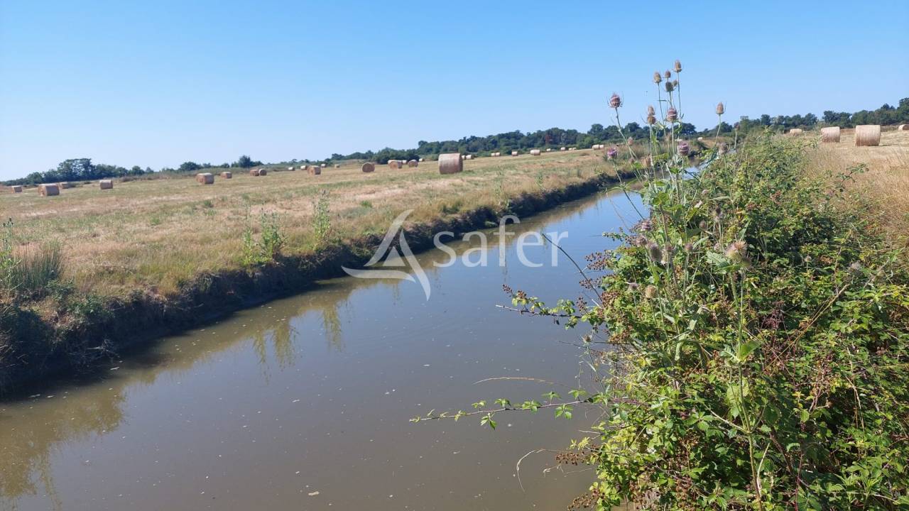 Landbouw bedrijf Koop Charente-Maritime