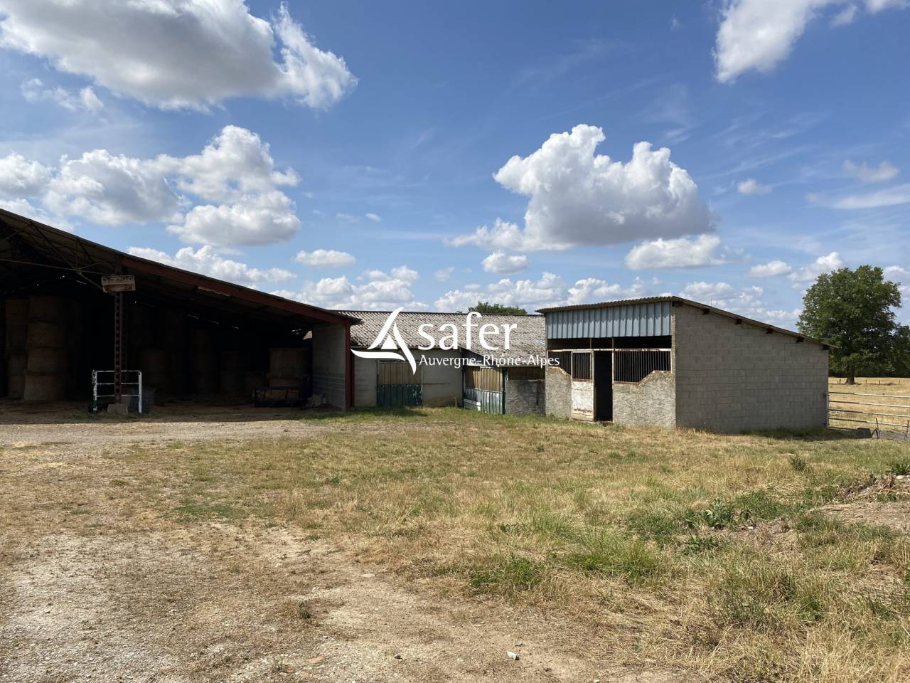 Landbouw bedrijf Koop Allier