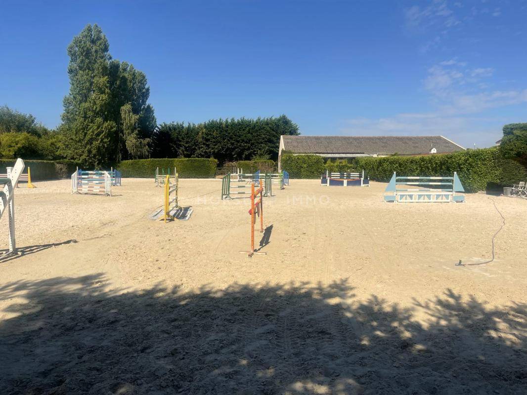Stoeterij Koop Loiret