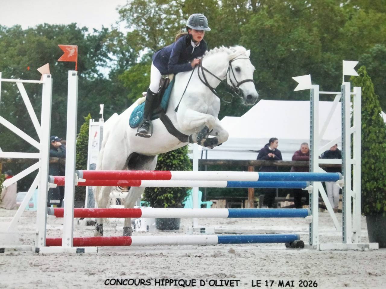 Merrie Connemara Te koop 2013 Wit