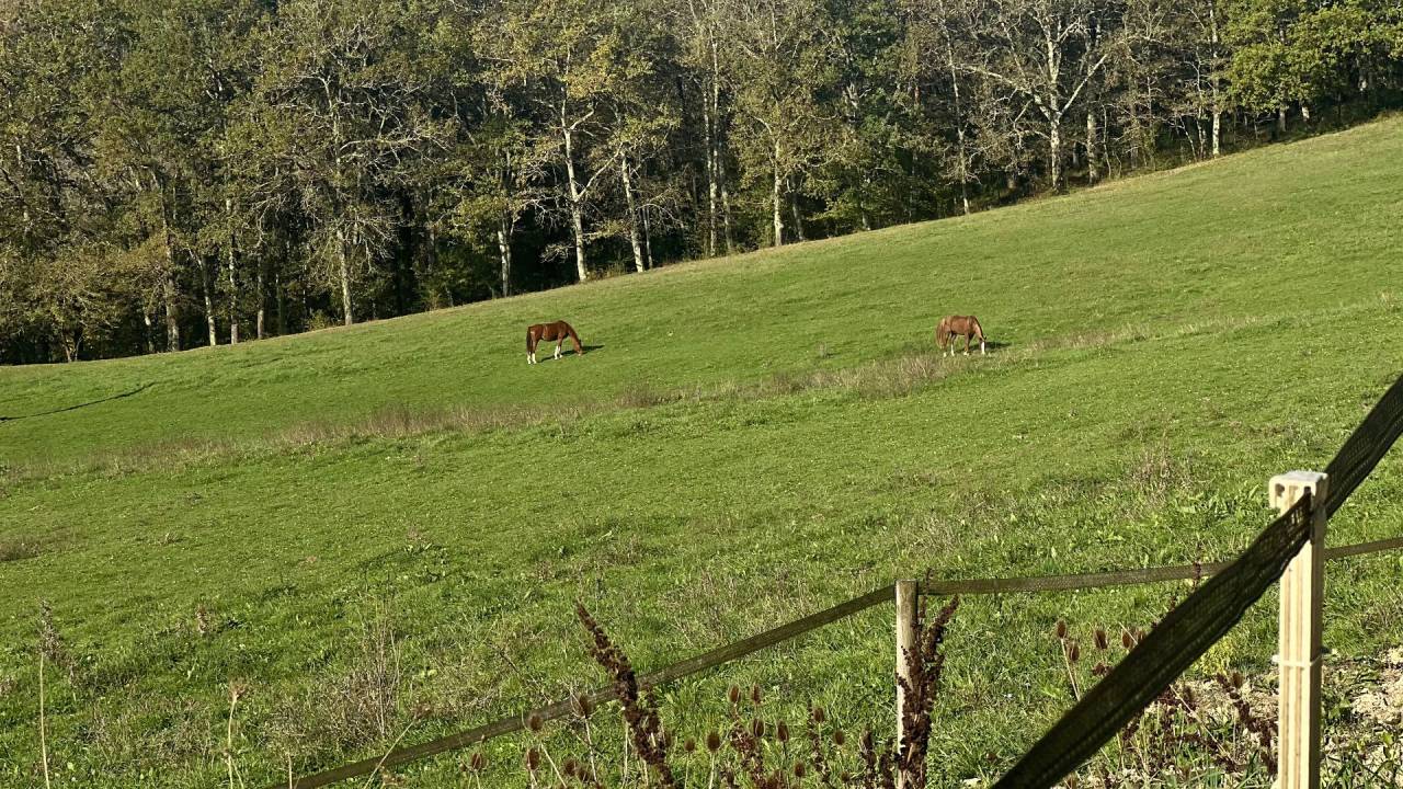Hippisch vastgoed Koop Lot-et-Garonne