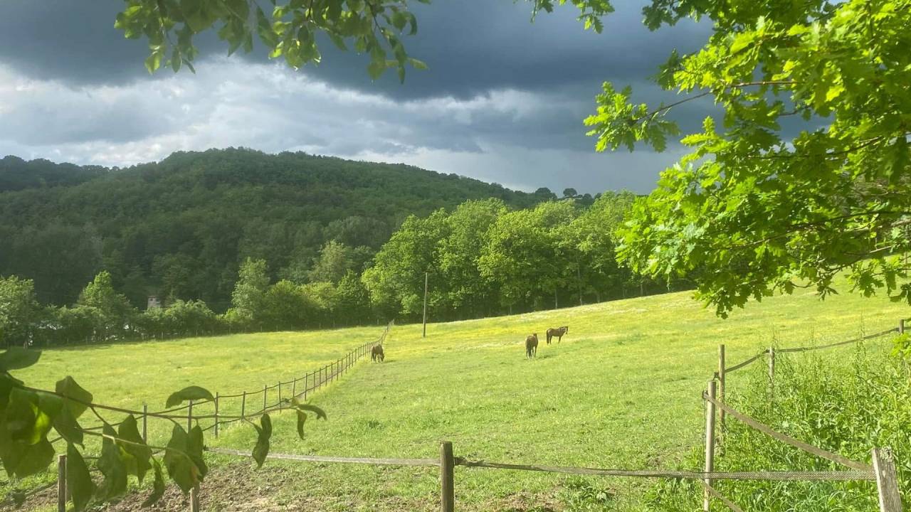 Hippisch vastgoed Koop Lot-et-Garonne