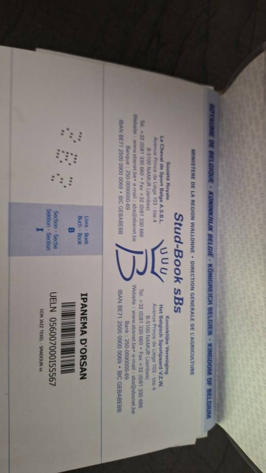 Merrie Rijpaard Te koop 2012 Bruin