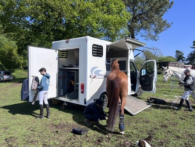 Paardentrailers Ander merk OPEL MOVANO RUCEL 2 Paarden 2011 Tweedehands