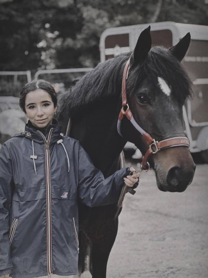 Merrie Franse rijpony PFS Half pension 2017 Bruin / Bai
