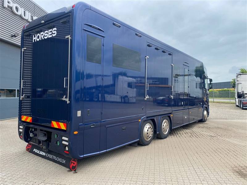 Zware paardenvrachtwagen (groot rijbewijs) Scania STX 2023 Tweedehands