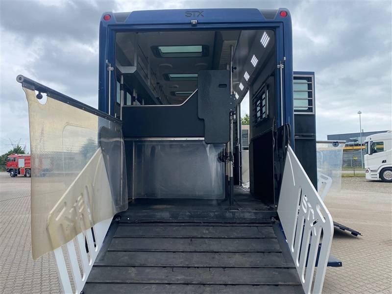 Zware paardenvrachtwagen (groot rijbewijs) Scania STX 2023 Tweedehands