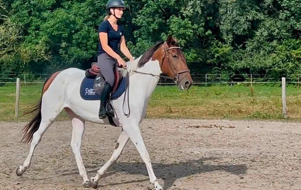 Merrie Ras onbekend Te koop 2021 Bont
